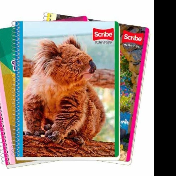 CUADERNO PROF. MEGA SCRIBE 7511 DIBUJO ESP.100H. C.36